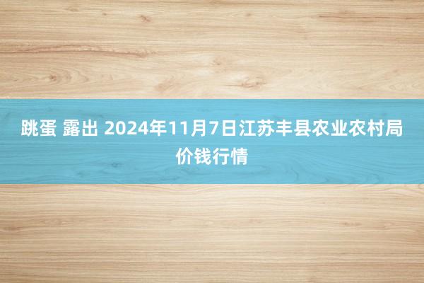 跳蛋 露出 2024年11月7日江苏丰县农业农村局价钱行情