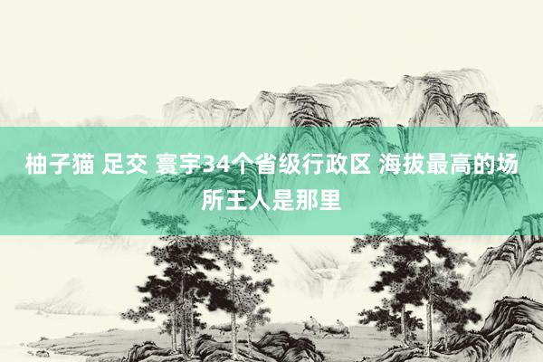 柚子猫 足交 寰宇34个省级行政区 海拔最高的场所王人是那里