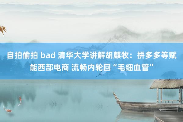 自拍偷拍 bad 清华大学讲解胡麒牧：拼多多等赋能西部电商 流畅内轮回“毛细血管”