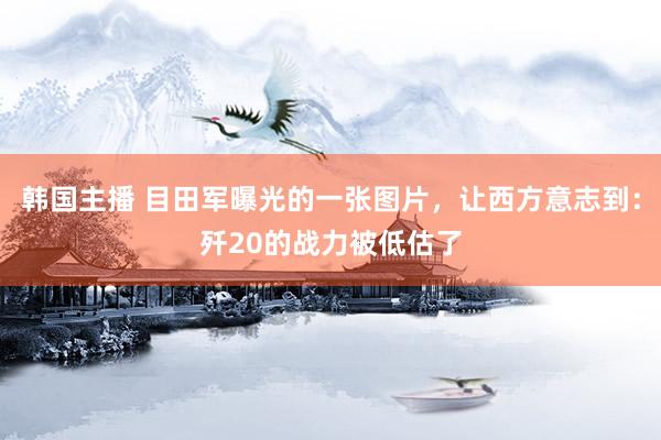 韩国主播 目田军曝光的一张图片，让西方意志到：歼20的战力被低估了