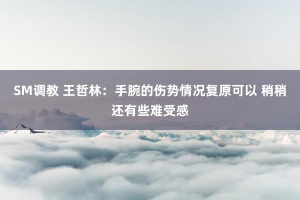 SM调教 王哲林：手腕的伤势情况复原可以 稍稍还有些难受感