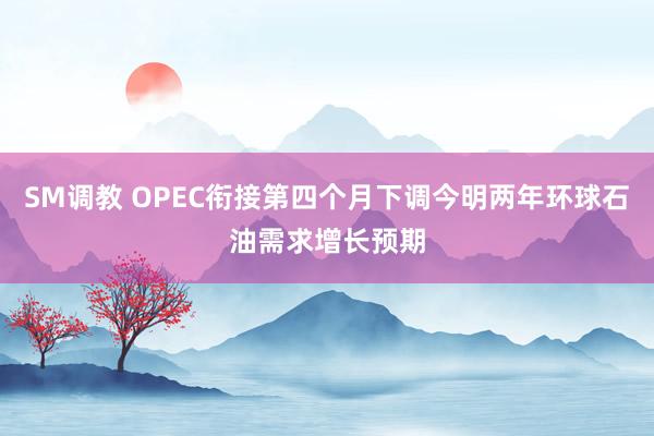 SM调教 OPEC衔接第四个月下调今明两年环球石油需求增长预期