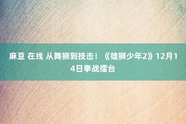 麻豆 在线 从舞狮到技击！《雄狮少年2》12月14日拳战擂台