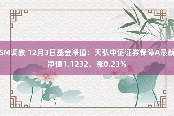 SM调教 12月3日基金净值：天弘中证证券保障A最新净值1.1232，涨0.23%