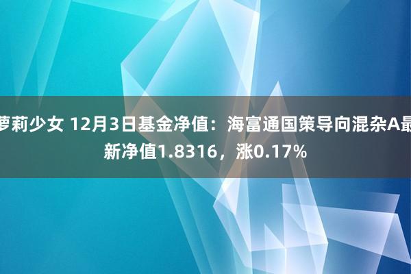 萝莉少女 12月3日基金净值：海富通国策导向混杂A最新净值1.8316，涨0.17%