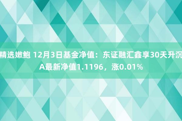 精选嫩鲍 12月3日基金净值：东证融汇鑫享30天升沉A最新净值1.1196，涨0.01%