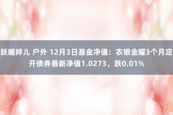 妖媚婷儿 户外 12月3日基金净值：农银金耀3个月定开债券最新净值1.0273，跌0.01%