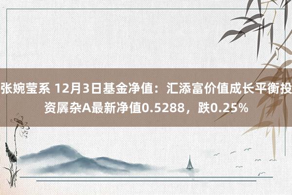 张婉莹系 12月3日基金净值：汇添富价值成长平衡投资羼杂A最新净值0.5288，跌0.25%