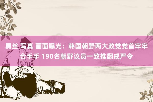 黑丝 写真 画面曝光：韩国朝野两大政党党首牢牢合手手 190名朝野议员一致推翻戒严令