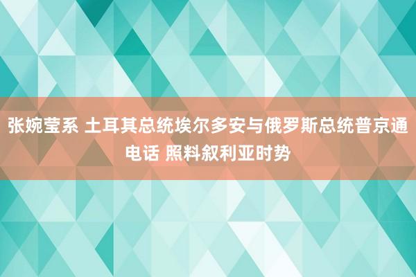 张婉莹系 土耳其总统埃尔多安与俄罗斯总统普京通电话 照料叙利亚时势