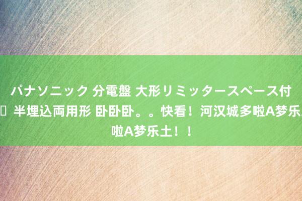 パナソニック 分電盤 大形リミッタースペース付 露出・半埋込両用形 卧卧卧。。快看！河汉城多啦A梦乐土！！