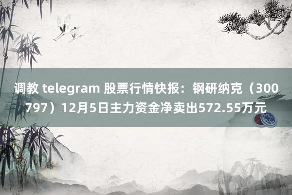 调教 telegram 股票行情快报：钢研纳克（300797）12月5日主力资金净卖出572.55万元