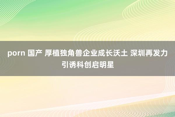 porn 国产 厚植独角兽企业成长沃土 深圳再发力引诱科创启明星