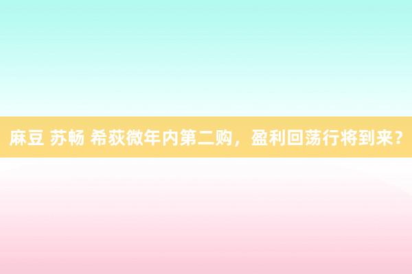 麻豆 苏畅 希荻微年内第二购，盈利回荡行将到来？