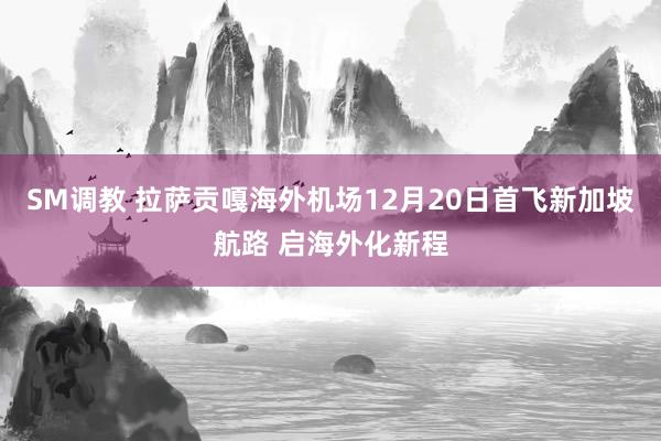 SM调教 拉萨贡嘎海外机场12月20日首飞新加坡航路 启海外化新程