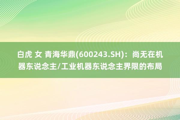 白虎 女 青海华鼎(600243.SH)：尚无在机器东说念主/工业机器东说念主界限的布局