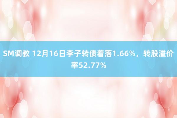 SM调教 12月16日李子转债着落1.66%，转股溢价率52.77%