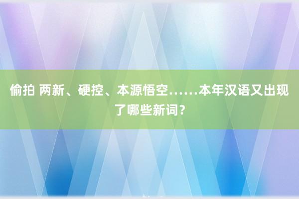 偷拍 两新、硬控、本源悟空……本年汉语又出现了哪些新词？