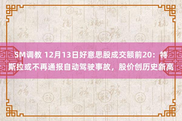 SM调教 12月13日好意思股成交额前20：特斯拉或不再通报自动驾驶事故，股价创历史新高