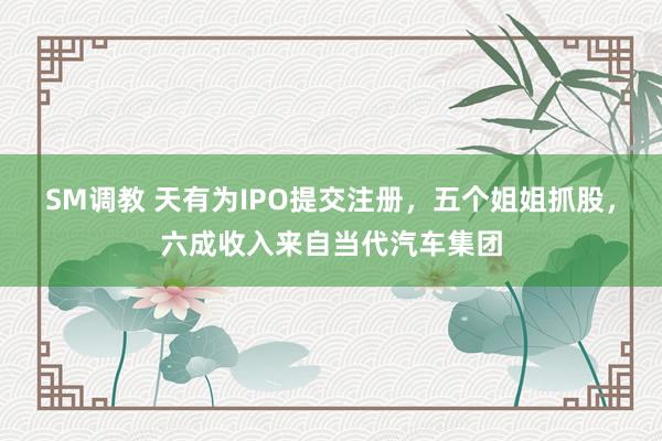 SM调教 天有为IPO提交注册，五个姐姐抓股，六成收入来自当代汽车集团