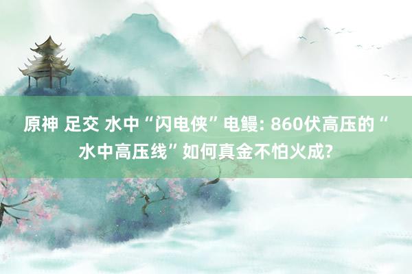 原神 足交 水中“闪电侠”电鳗: 860伏高压的“水中高压线”如何真金不怕火成?