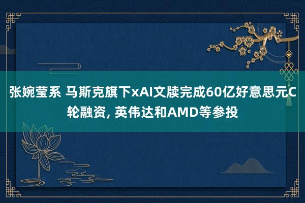 张婉莹系 马斯克旗下xAI文牍完成60亿好意思元C轮融资, 英伟达和AMD等参投