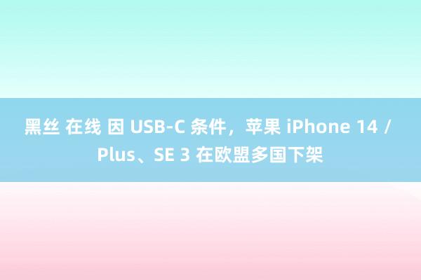 黑丝 在线 因 USB-C 条件，苹果 iPhone 14 / Plus、SE 3 在欧盟多国下架