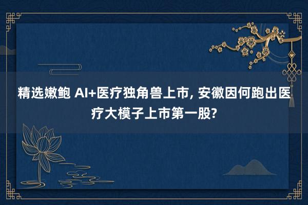 精选嫩鲍 AI+医疗独角兽上市, 安徽因何跑出医疗大模子上市第一股?