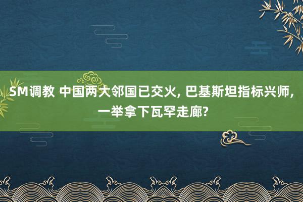 SM调教 中国两大邻国已交火, 巴基斯坦指标兴师, 一举拿下瓦罕走廊?