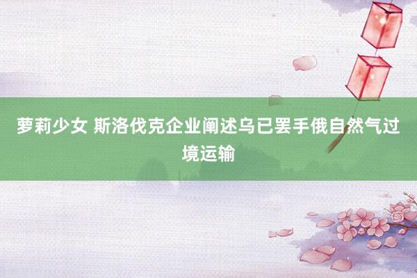 萝莉少女 斯洛伐克企业阐述乌已罢手俄自然气过境运输