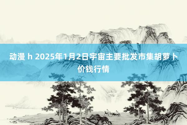 动漫 h 2025年1月2日宇宙主要批发市集胡萝卜价钱行情