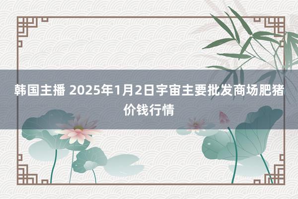 韩国主播 2025年1月2日宇宙主要批发商场肥猪价钱行情