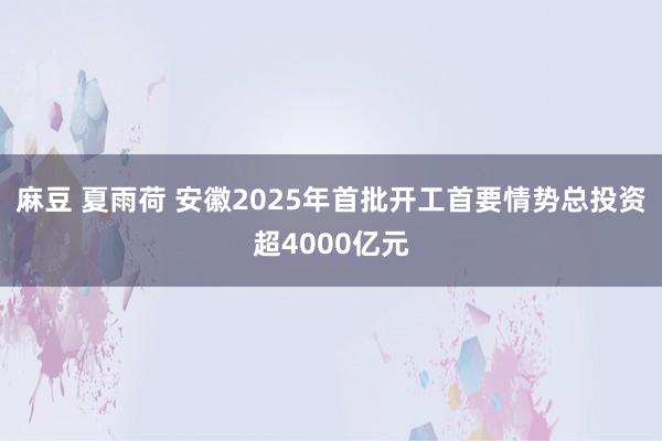 麻豆 夏雨荷 安徽2025年首批开工首要情势总投资超4000亿元