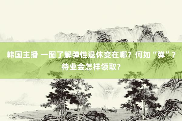 韩国主播 一图了解弹性退休变在哪？何如“弹”？待业金怎样领取？