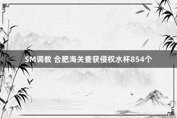 SM调教 合肥海关查获侵权水杯854个