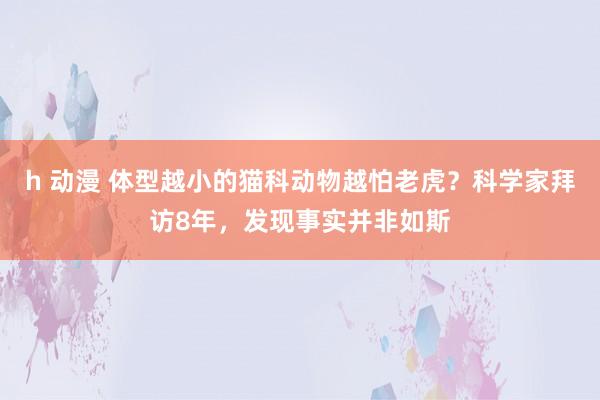 h 动漫 体型越小的猫科动物越怕老虎？科学家拜访8年，发现事实并非如斯