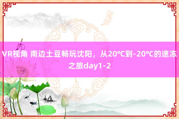 VR视角 南边土豆畅玩沈阳，从20℃到-20℃的速冻之旅day1-2