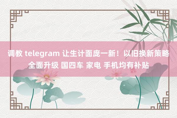 调教 telegram 让生计面庞一新！以旧换新策略全面升级 国四车 家电 手机均有补贴