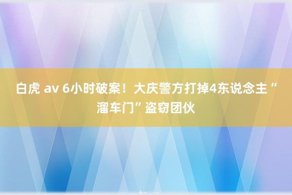 白虎 av 6小时破案！大庆警方打掉4东说念主“溜车门”盗窃团伙