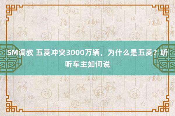 SM调教 五菱冲突3000万辆，为什么是五菱？听听车主如何说