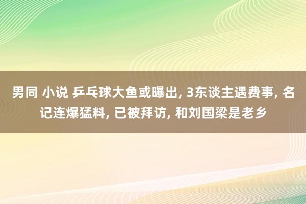 男同 小说 乒乓球大鱼或曝出, 3东谈主遇费事, 名记连爆猛料, 已被拜访, 和刘国梁是老乡