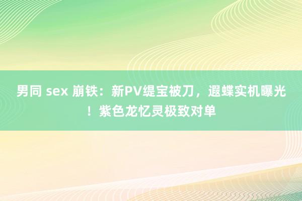 男同 sex 崩铁：新PV缇宝被刀，遐蝶实机曝光！紫色龙忆灵极致对单