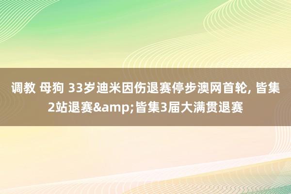 调教 母狗 33岁迪米因伤退赛停步澳网首轮, 皆集2站退赛&皆集3届大满贯退赛