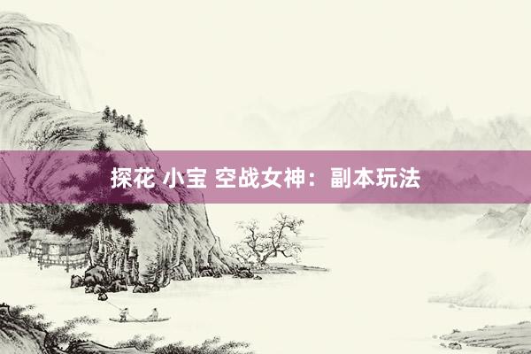 探花 小宝 空战女神：副本玩法