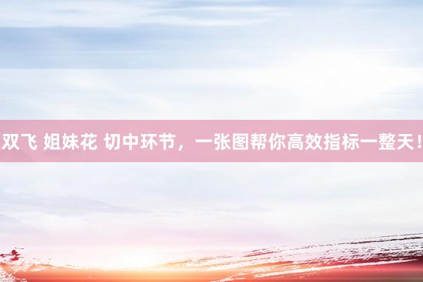 双飞 姐妹花 切中环节，一张图帮你高效指标一整天！