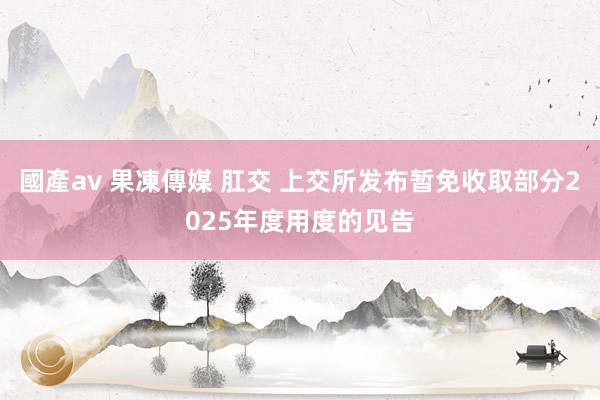 國產av 果凍傳媒 肛交 上交所发布暂免收取部分2025年度用度的见告