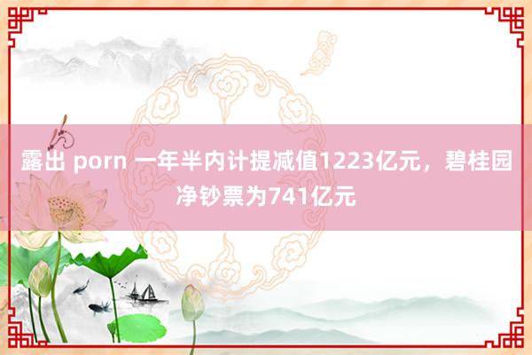 露出 porn 一年半内计提减值1223亿元，碧桂园净钞票为741亿元