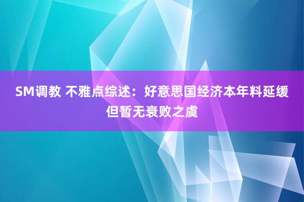 SM调教 不雅点综述：好意思国经济本年料延缓但暂无衰败之虞