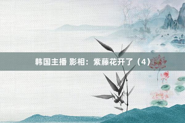 韩国主播 影相：紫藤花开了（4）
